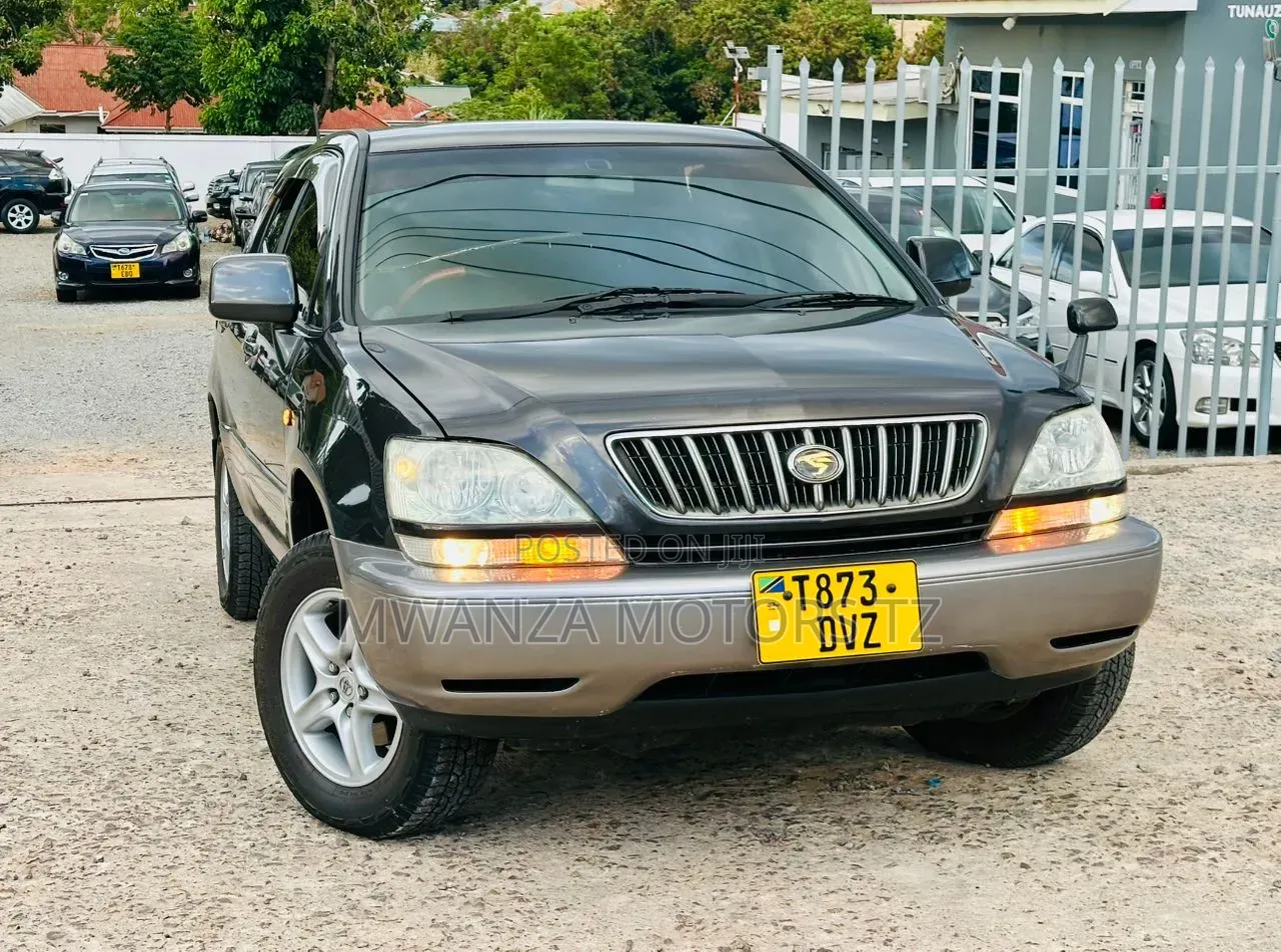 Toyota Harrier 2004 Gray