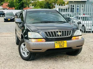 Toyota Harrier 2004 Gray