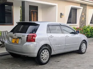 Toyota Allex 2004 Silver