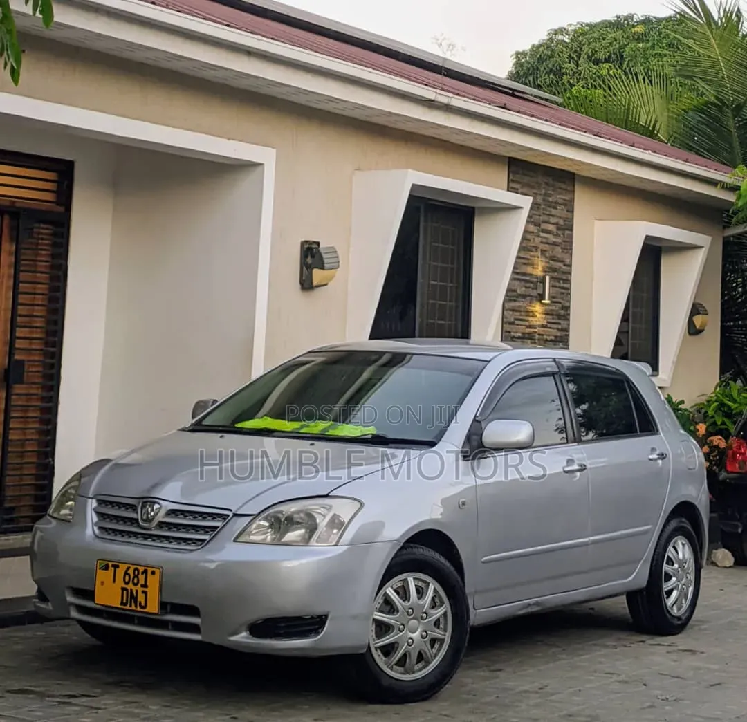 Toyota Allex 2004 Silver