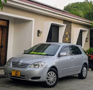 Toyota Allex 2004 Silver