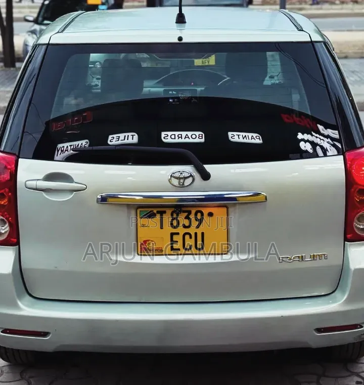 Toyota Raum 2008 Silver