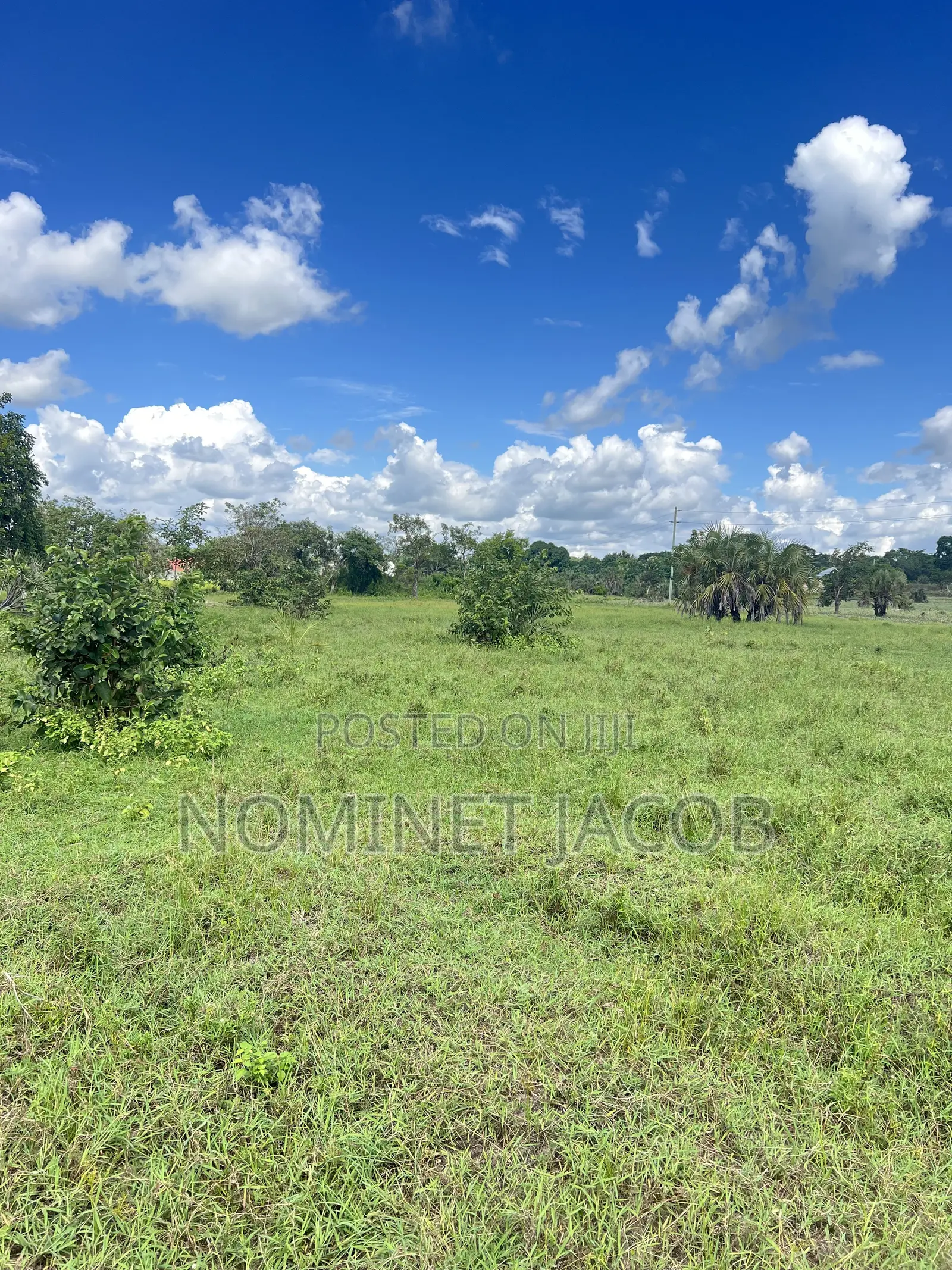 Plot for Sale