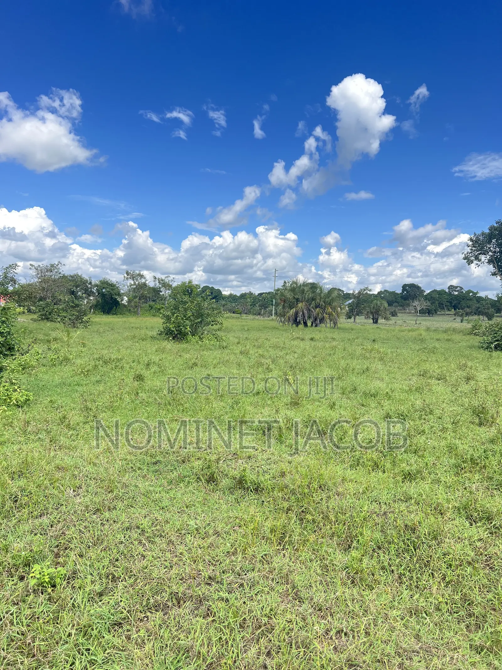 Plot for Sale