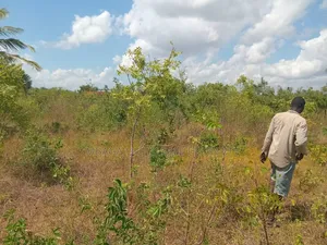 Beach Plot With 4 Acres for Sale at Kigamboni Mwasonga