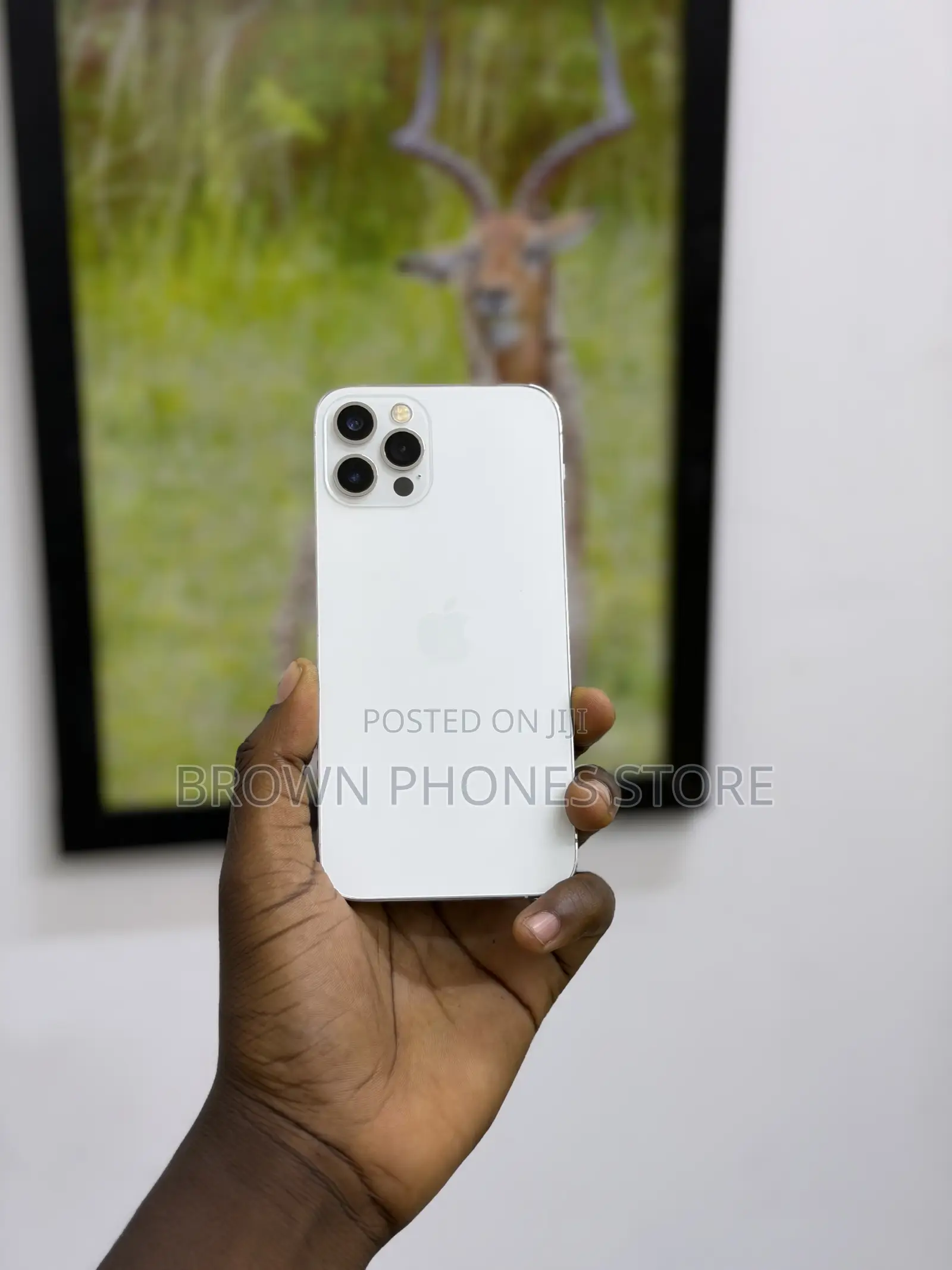 Apple iPhone 12 Pro 128 GB Silver