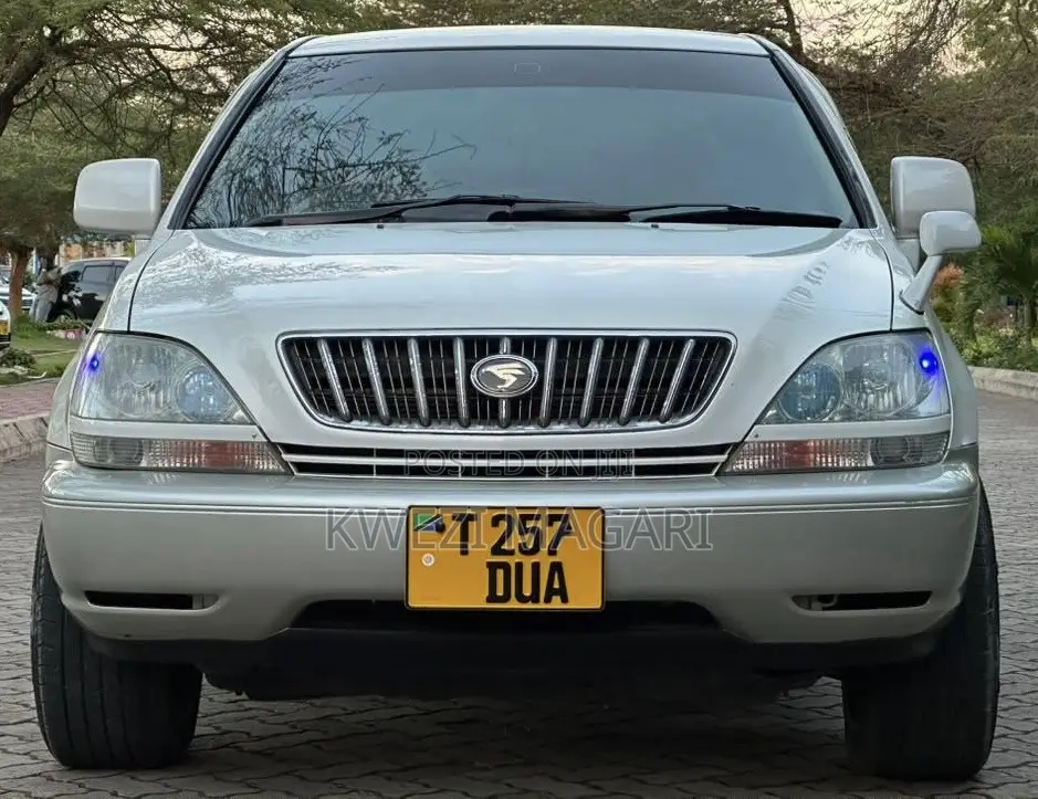 Toyota Harrier 2004 Pearl