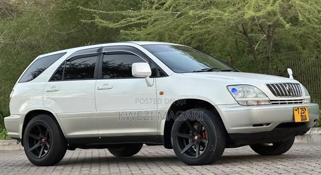 Toyota Harrier 2004 Pearl