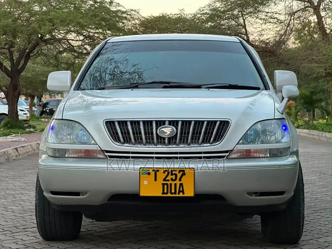 Toyota Harrier 2004 Pearl