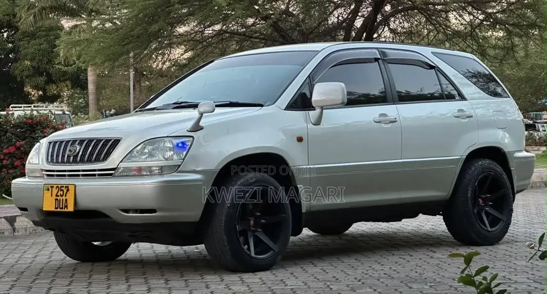 Toyota Harrier 2004 Pearl