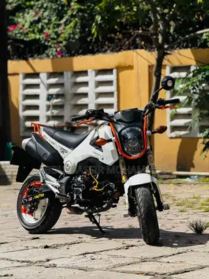 Honda 2017 White