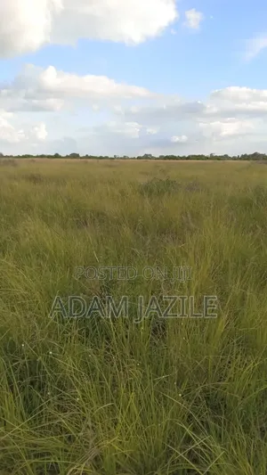 Shamba La Ekari 25 Linauzwa Bagamoyo Makurunge