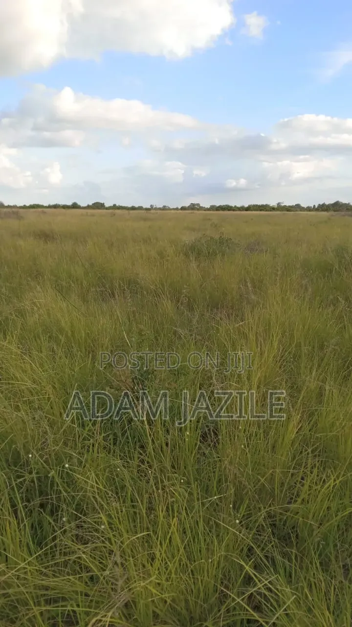Shamba La Ekari 25 Linauzwa Bagamoyo Makurunge