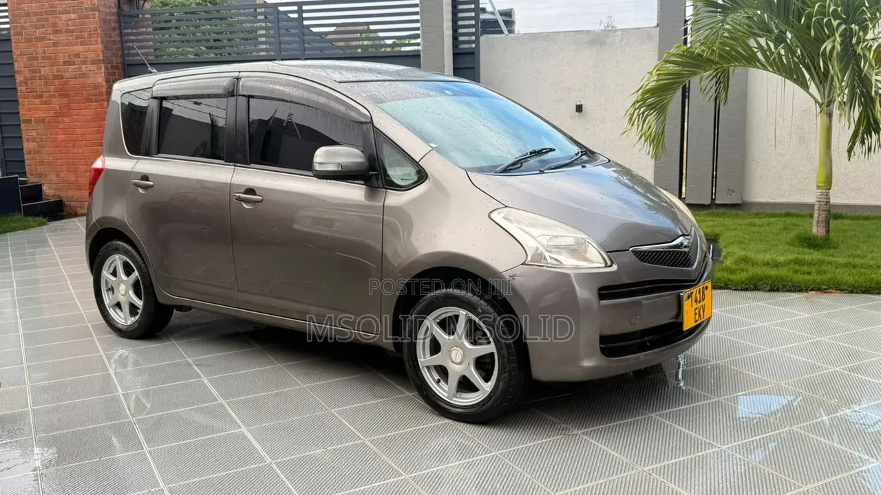 Toyota Ractis 2006 Gray