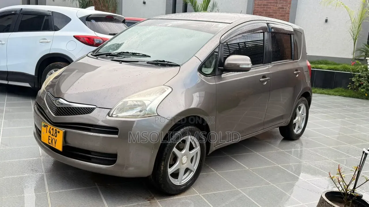 Toyota Ractis 2006 Gray