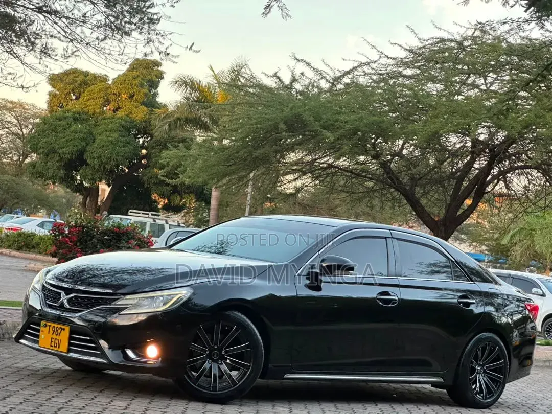 Toyota Mark X 2010 Black