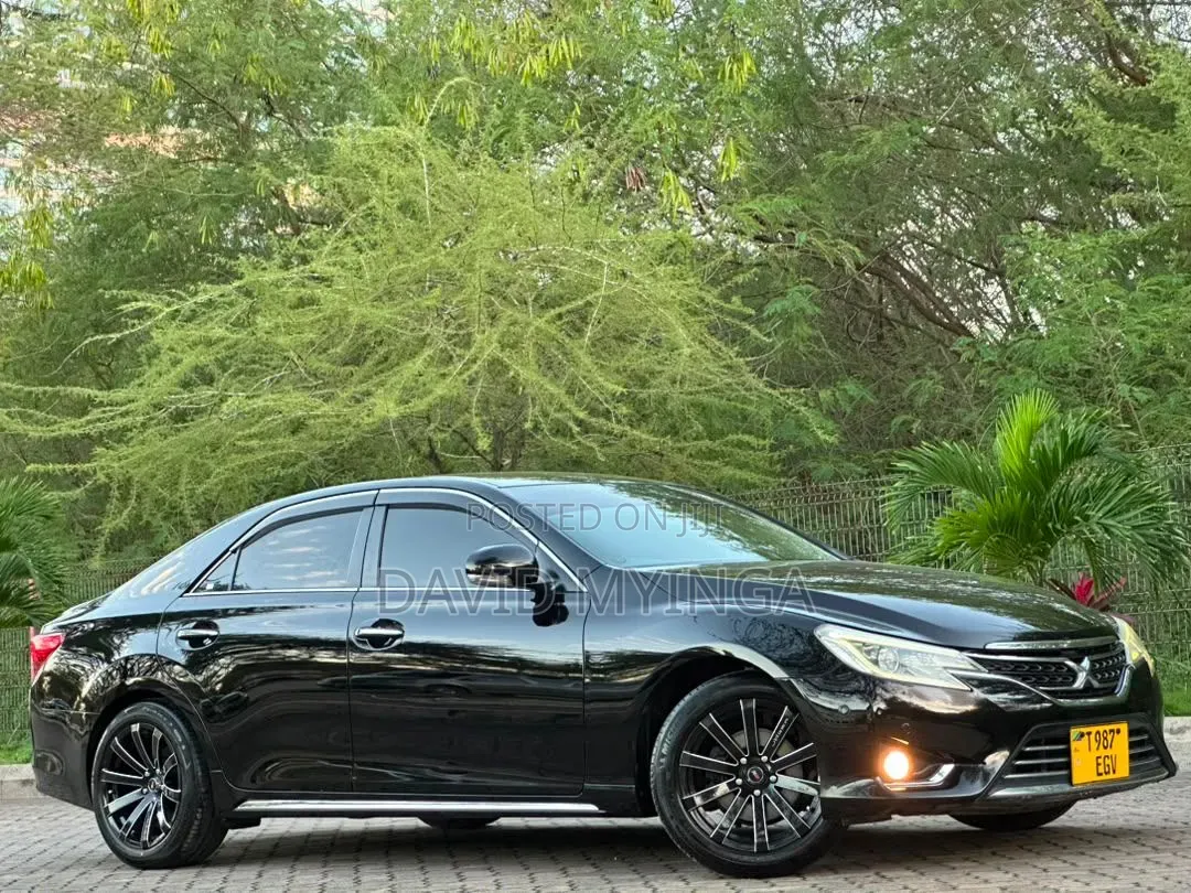 Toyota Mark X 2010 Black