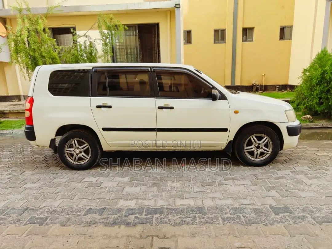 Toyota Probox 1.3 DX 2WD 2004 White