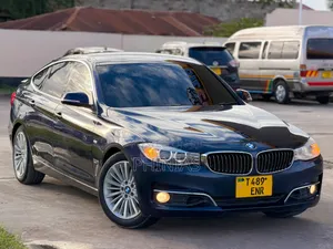 BMW 3 Series 2013 Blue