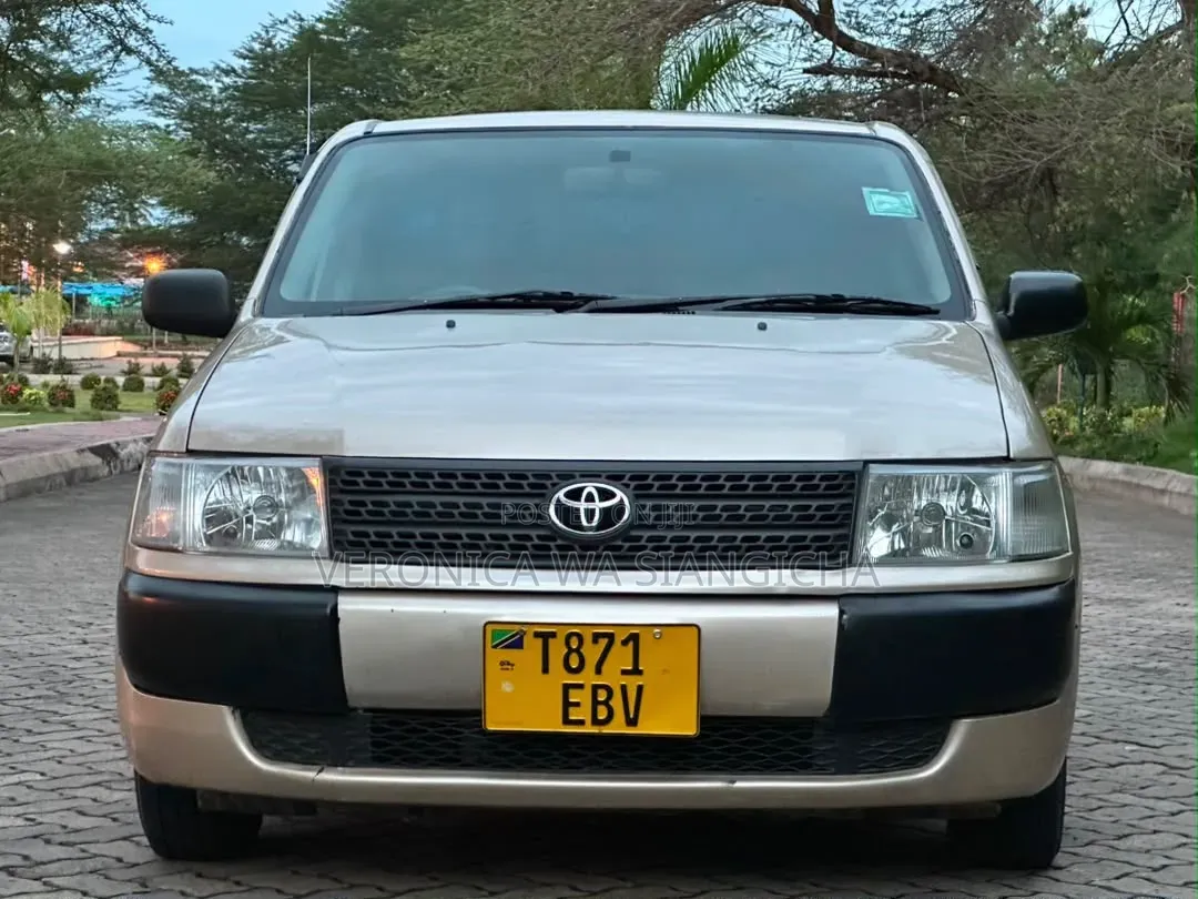 Toyota Probox 2011 Gold