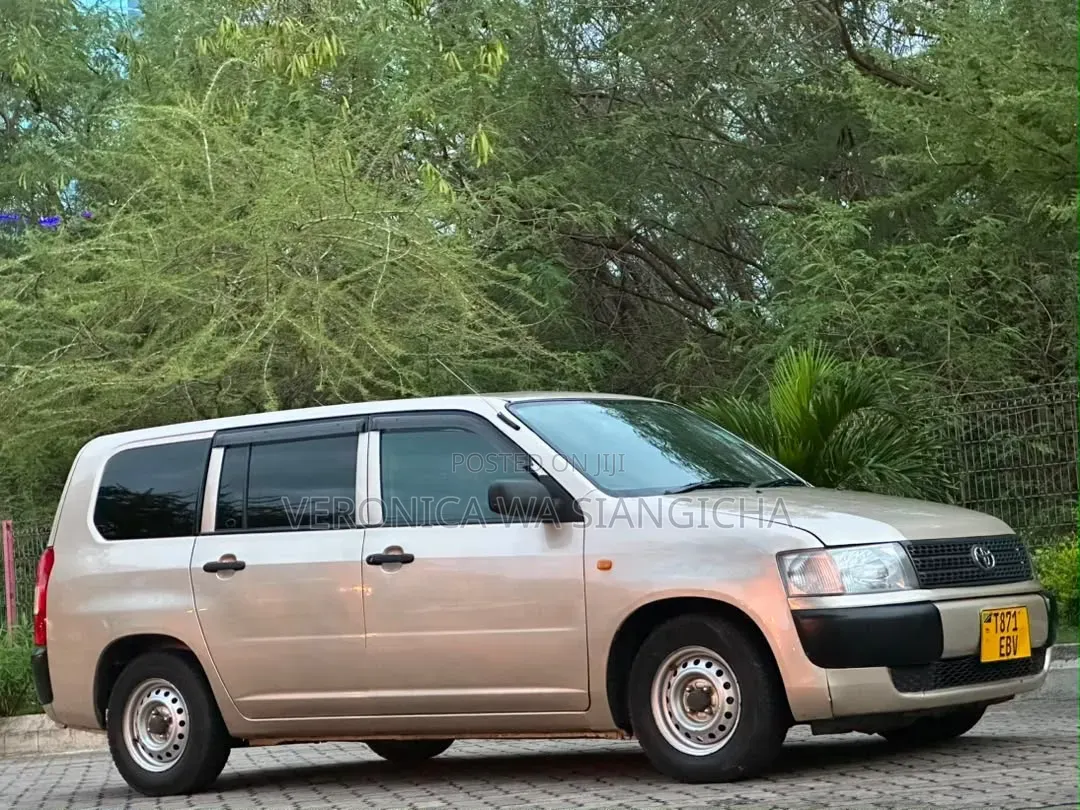Toyota Probox 2011 Gold