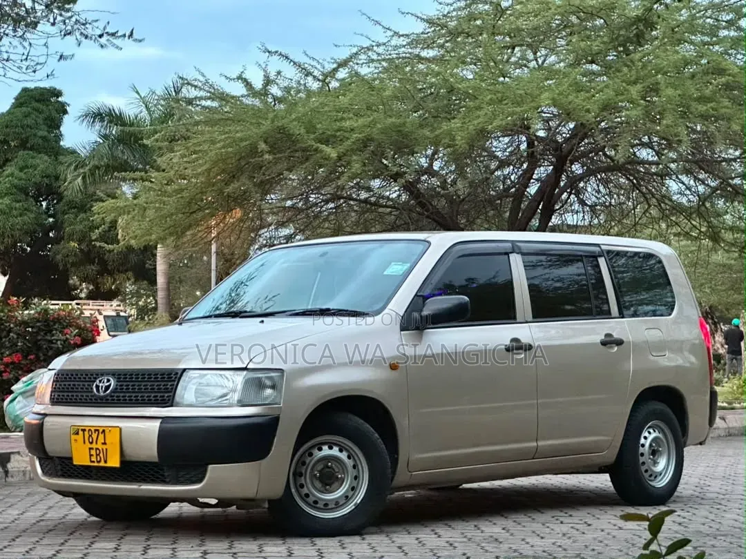 Toyota Probox 2011 Gold