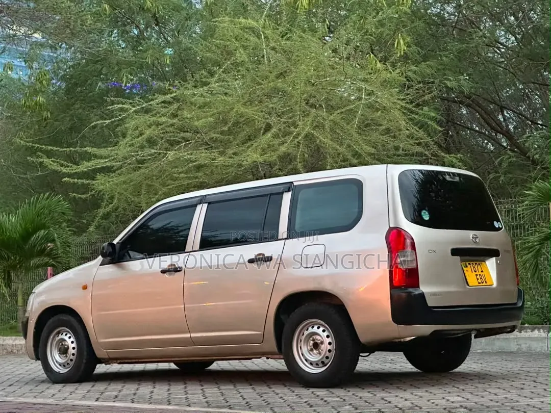 Toyota Probox 2011 Gold