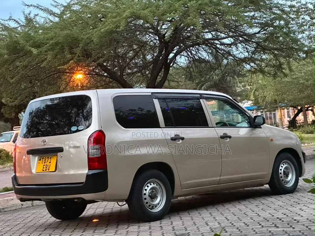 Toyota Probox 2011 Gold