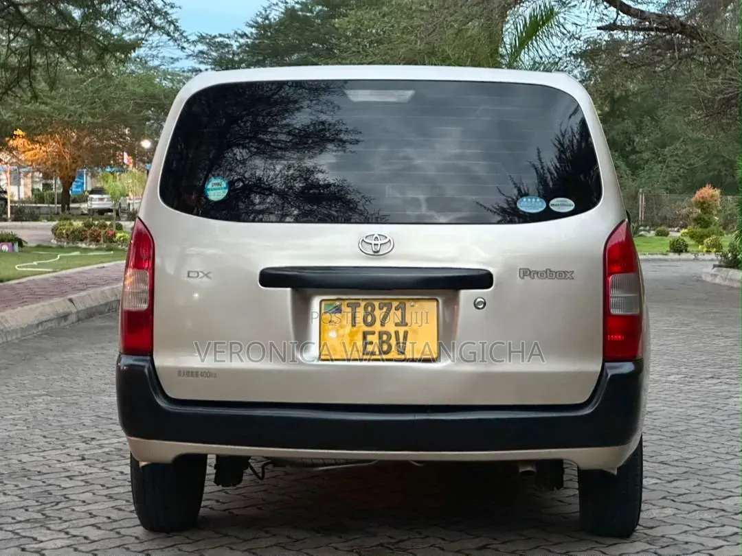 Toyota Probox 2011 Gold