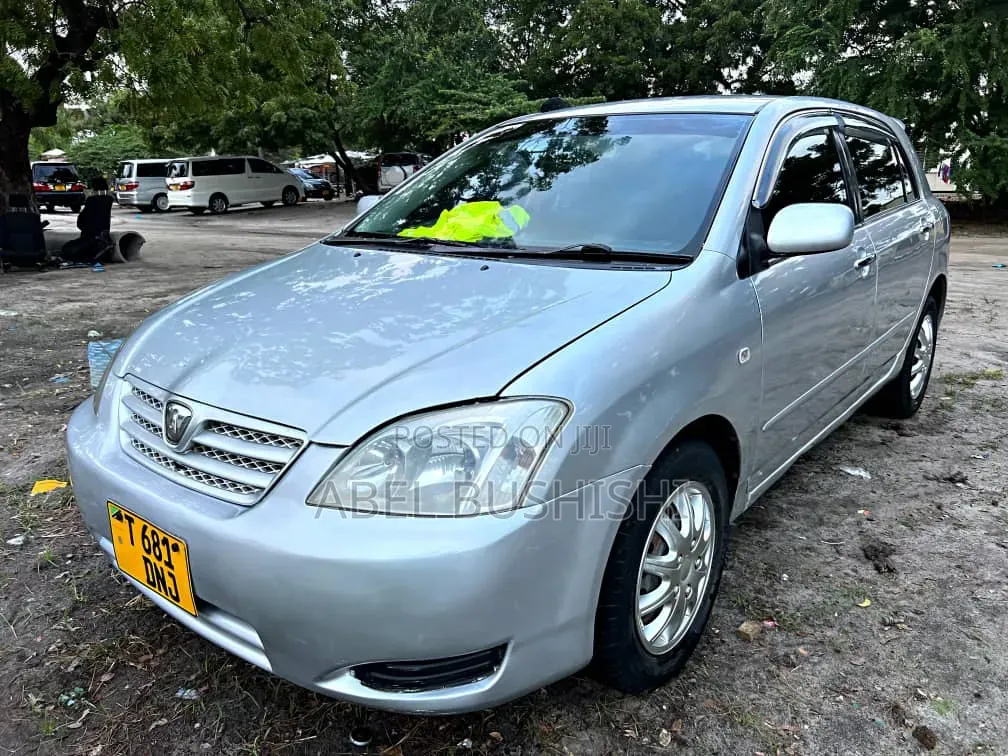 Toyota Allex 2009 Silver