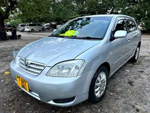 Toyota Allex 2009 Silver