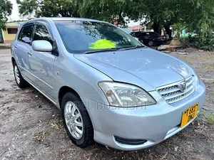 Toyota Allex 2009 Silver