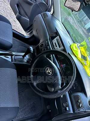 Toyota Allex 2009 Silver