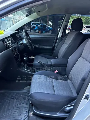 Toyota Allex 2009 Silver