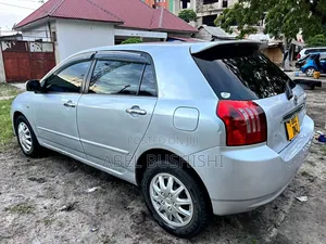 Toyota Allex 2009 Silver