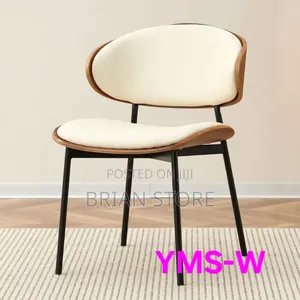 Modern Dinning Chair