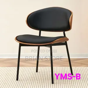 Modern Dinning Chair