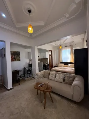 Furnished 1bdrm Apartment in Block 41, Kinondoni for rent