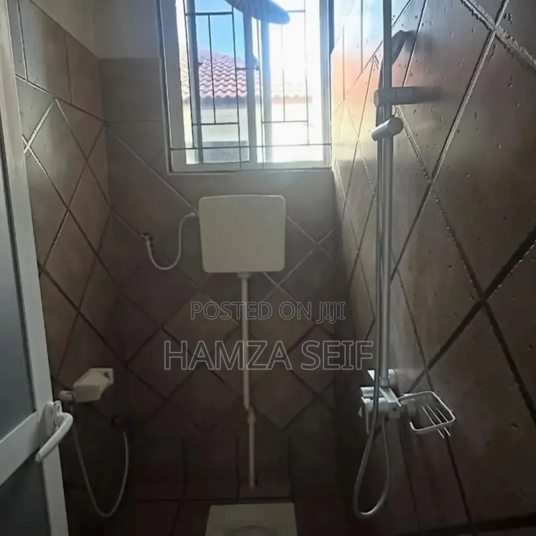 2bdrm House in Mikocheni for rent
