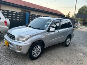 Toyota RAV4 2004 Silver