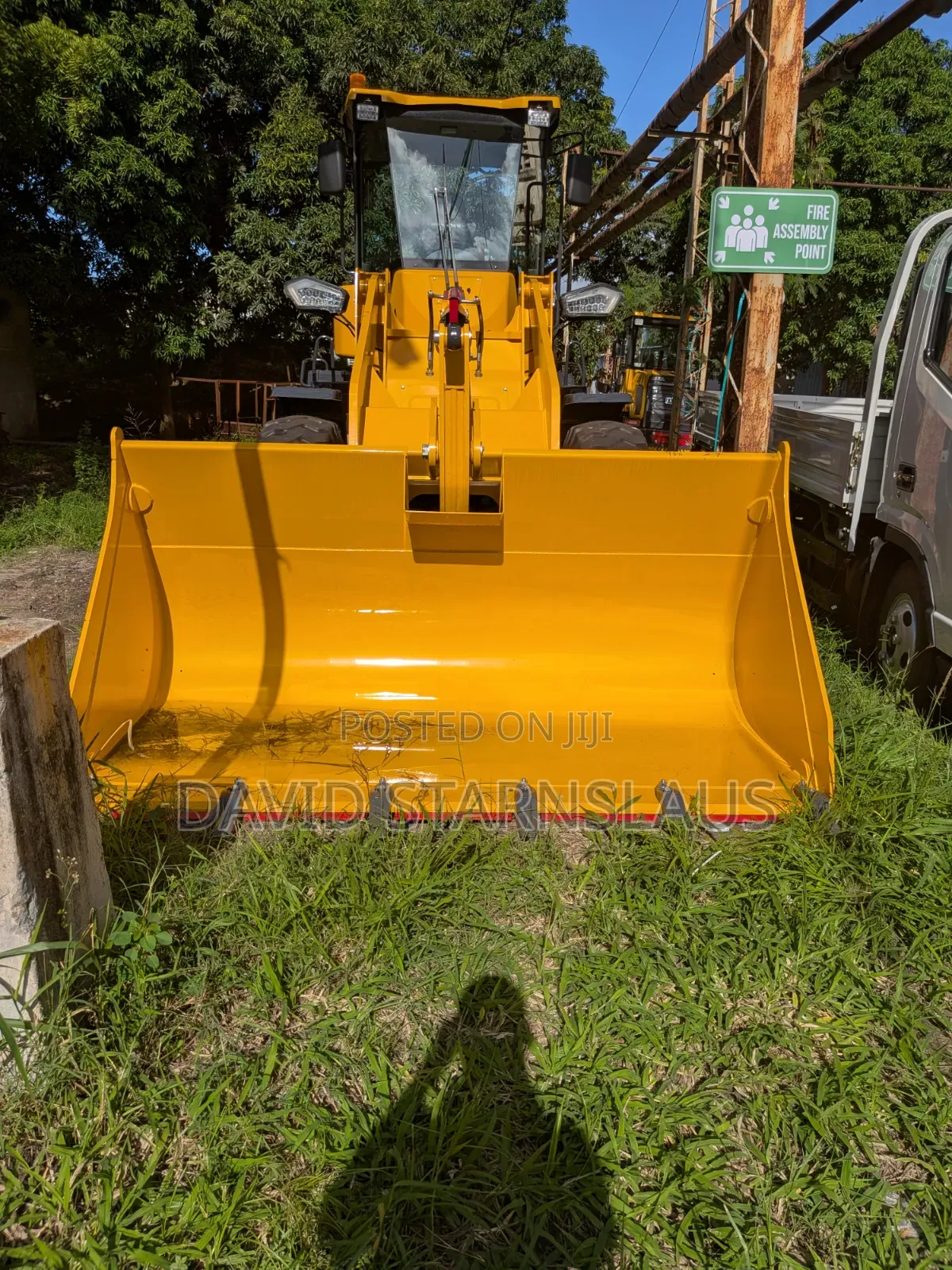 3t Brand New Wheel Loader. (Ly958)