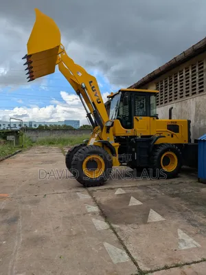 3t Brand New Wheel Loader. (Ly958)