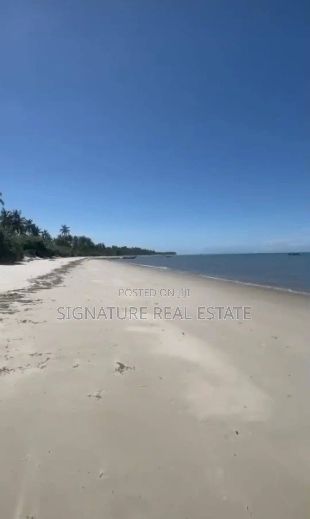 Beach Plot