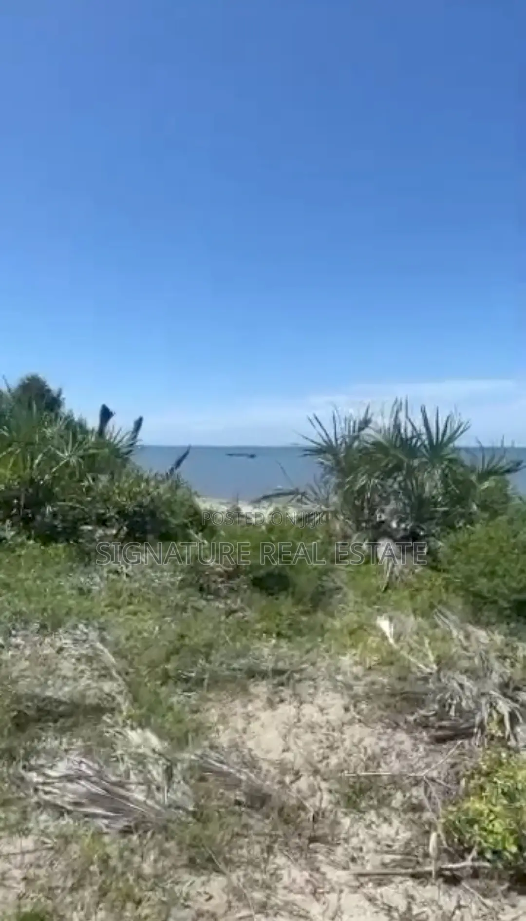 Beach Plot