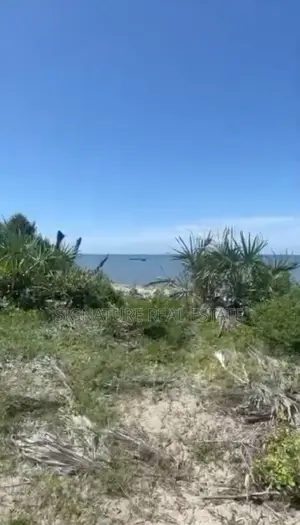 Beach Plot