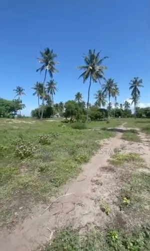 Beach Plot