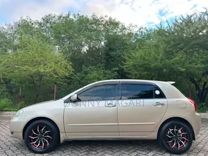 Toyota Allex 2003 Gold