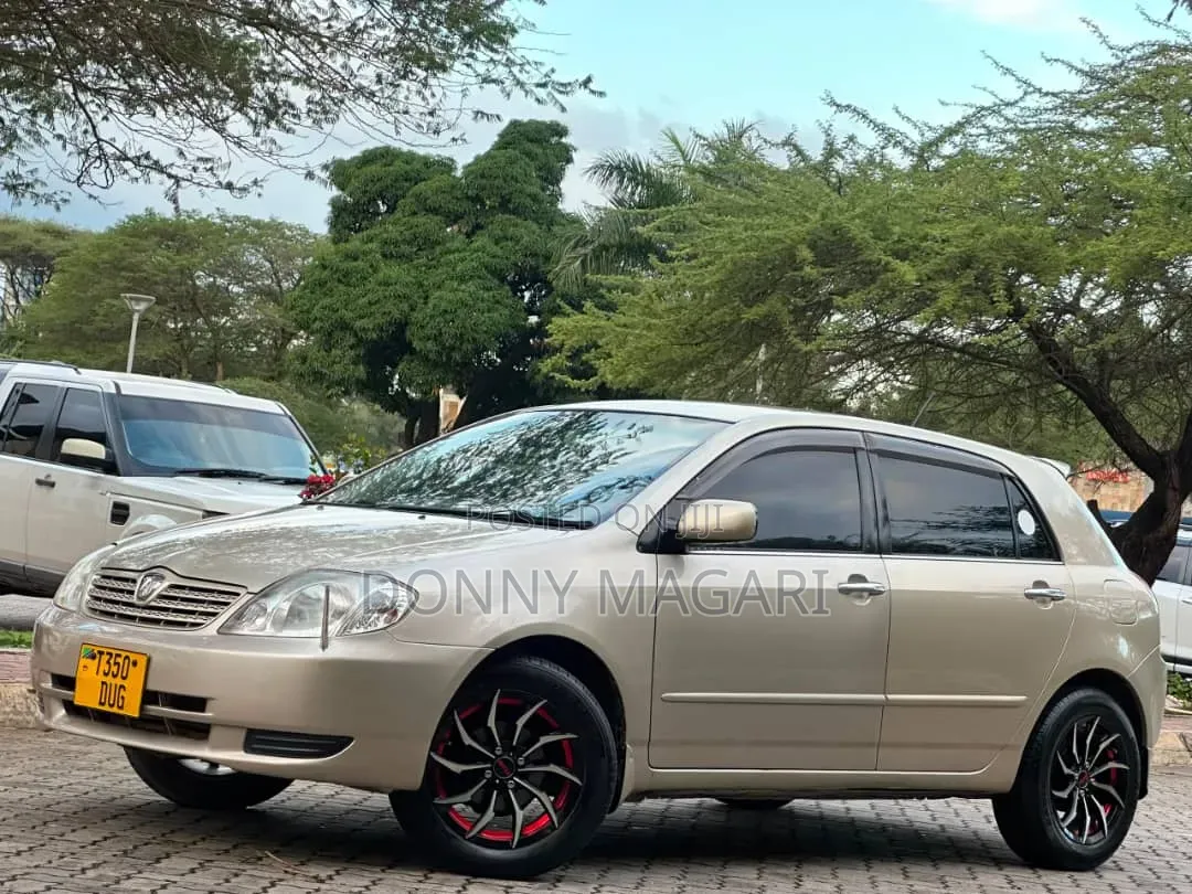 Toyota Allex 2003 Gold