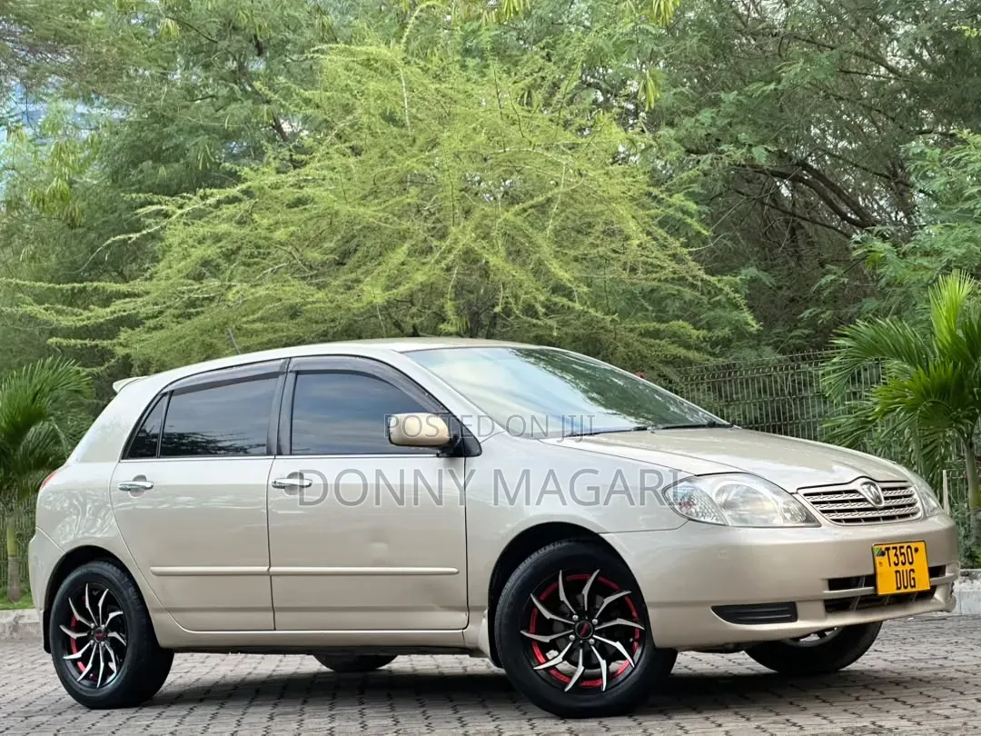 Toyota Allex 2003 Gold