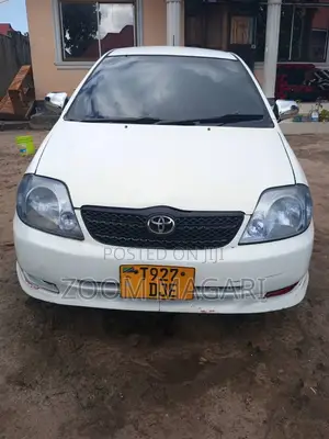 Toyota Allex 2002 White